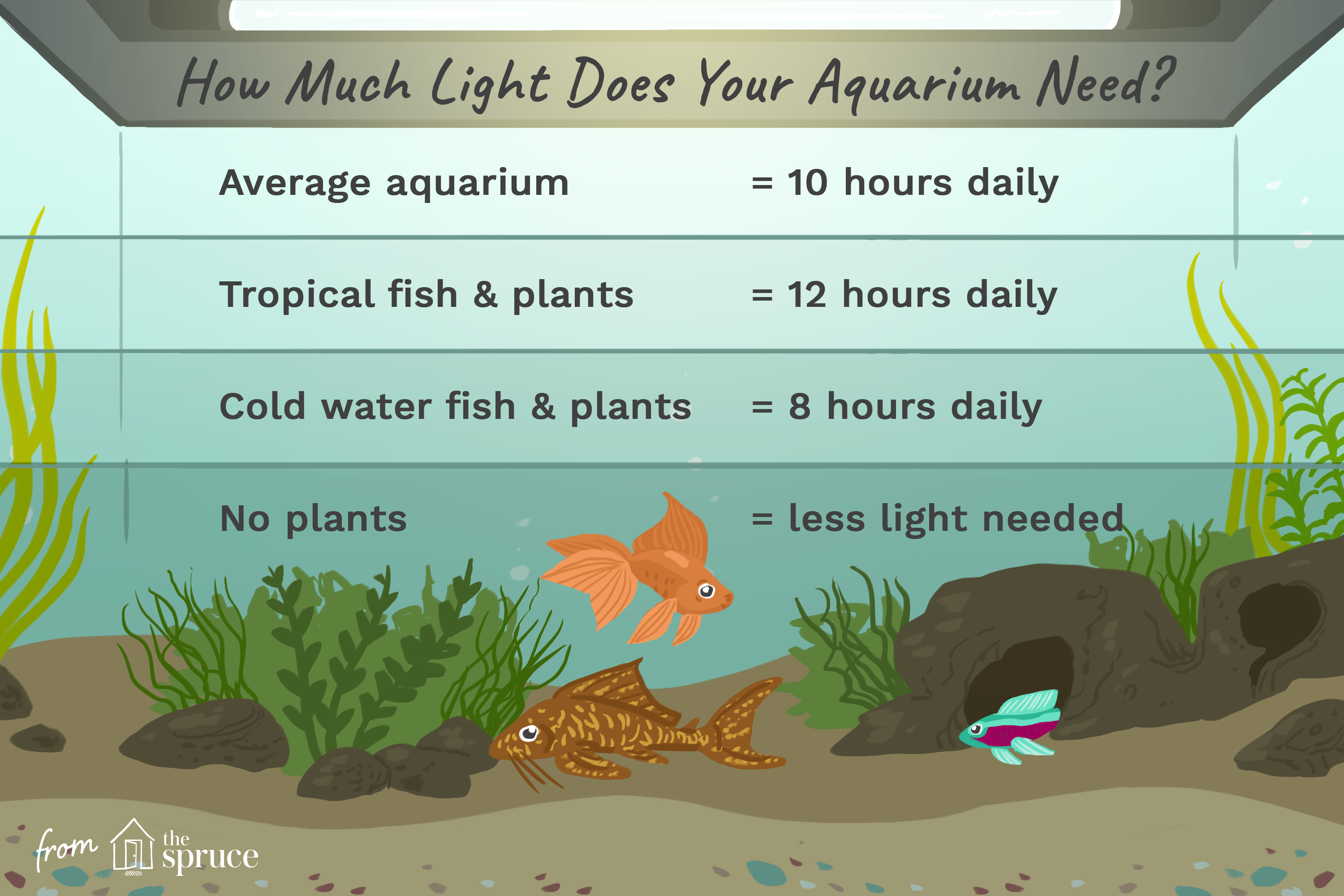 Cose da sapere sull illuminazione dell acquario