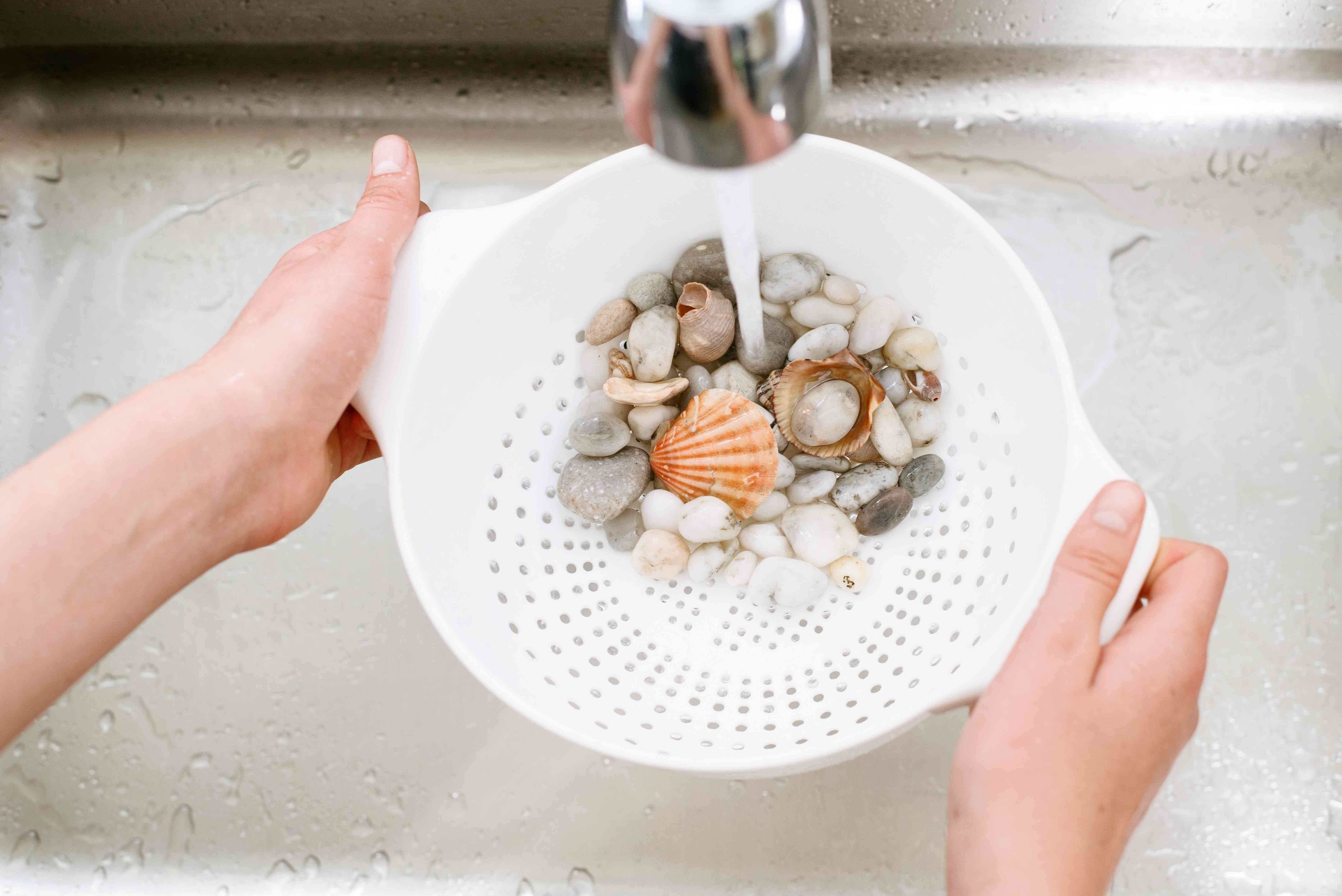 金魚鉢をきれいにする方法 