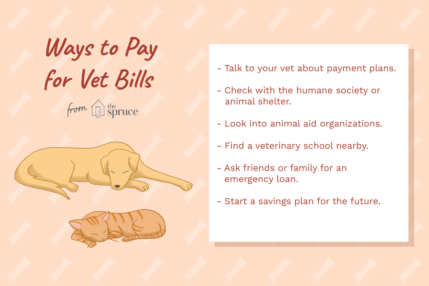 Hoe u zich financieel kunt voorbereiden op bezoeken aan zieke huisdieren