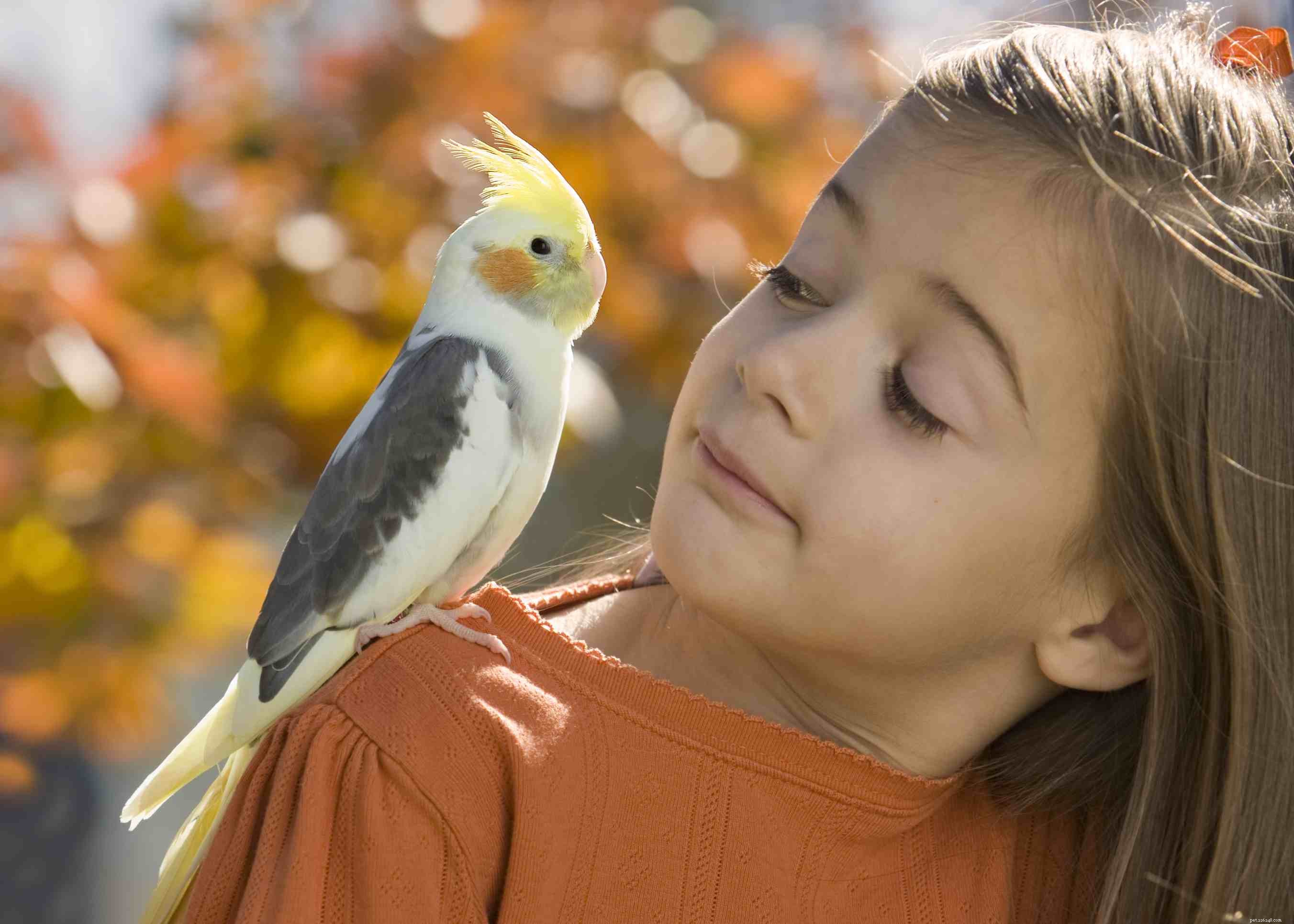 Ces 7 oiseaux font les meilleurs animaux de compagnie pour les enfants