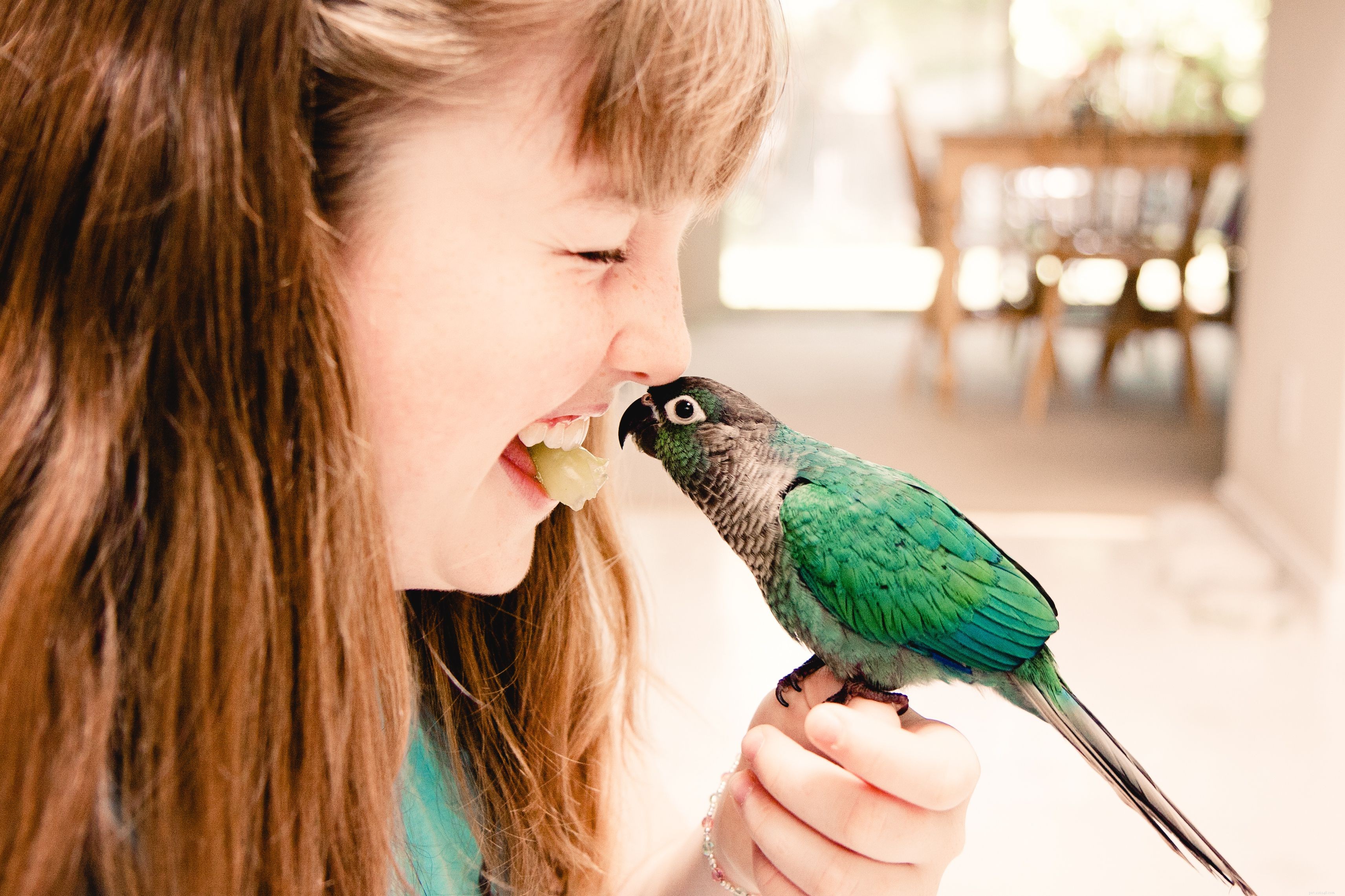 あなたはあなたの子供にペットの鳥を買うべきですか？ 