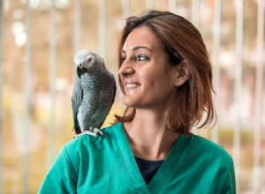 Potřebují ptáci každoroční návštěvy veterináře?