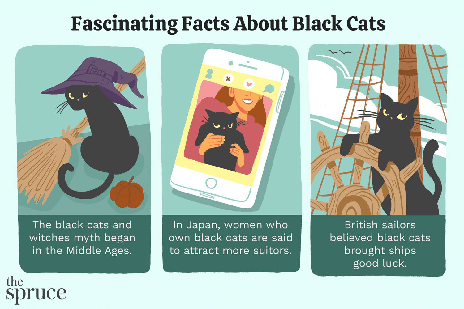 5 fatos fascinantes sobre gatos pretos
