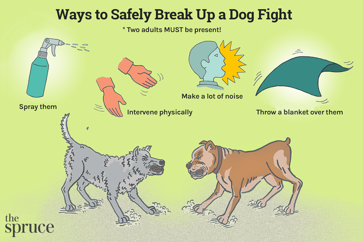 Redenen waarom honden vechten en hoe ze het veilig kunnen stoppen