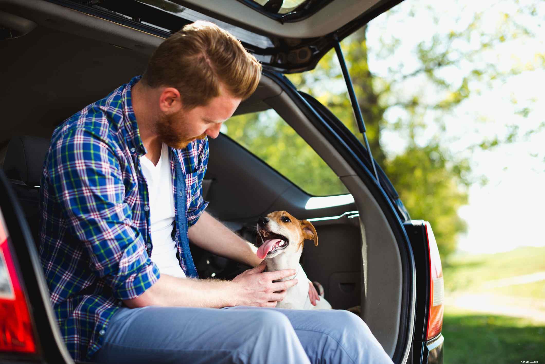 Jak vyřešit strach vašich psů z jízdy autem