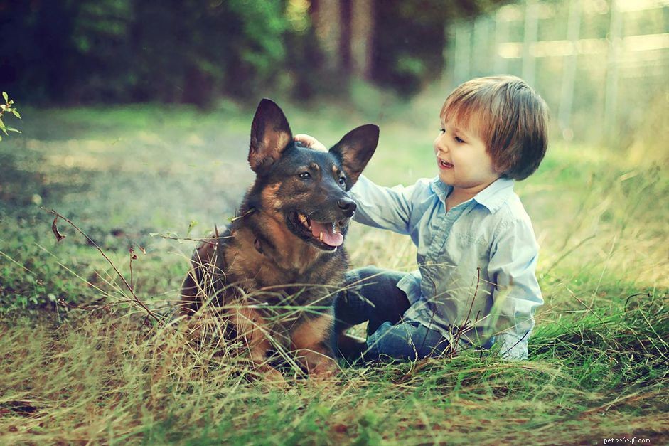 Come addestrare il tuo cane a gestire un bambino