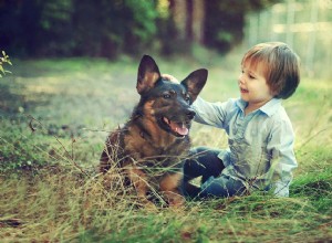 Comment apprendre à votre chien à gérer un tout-petit