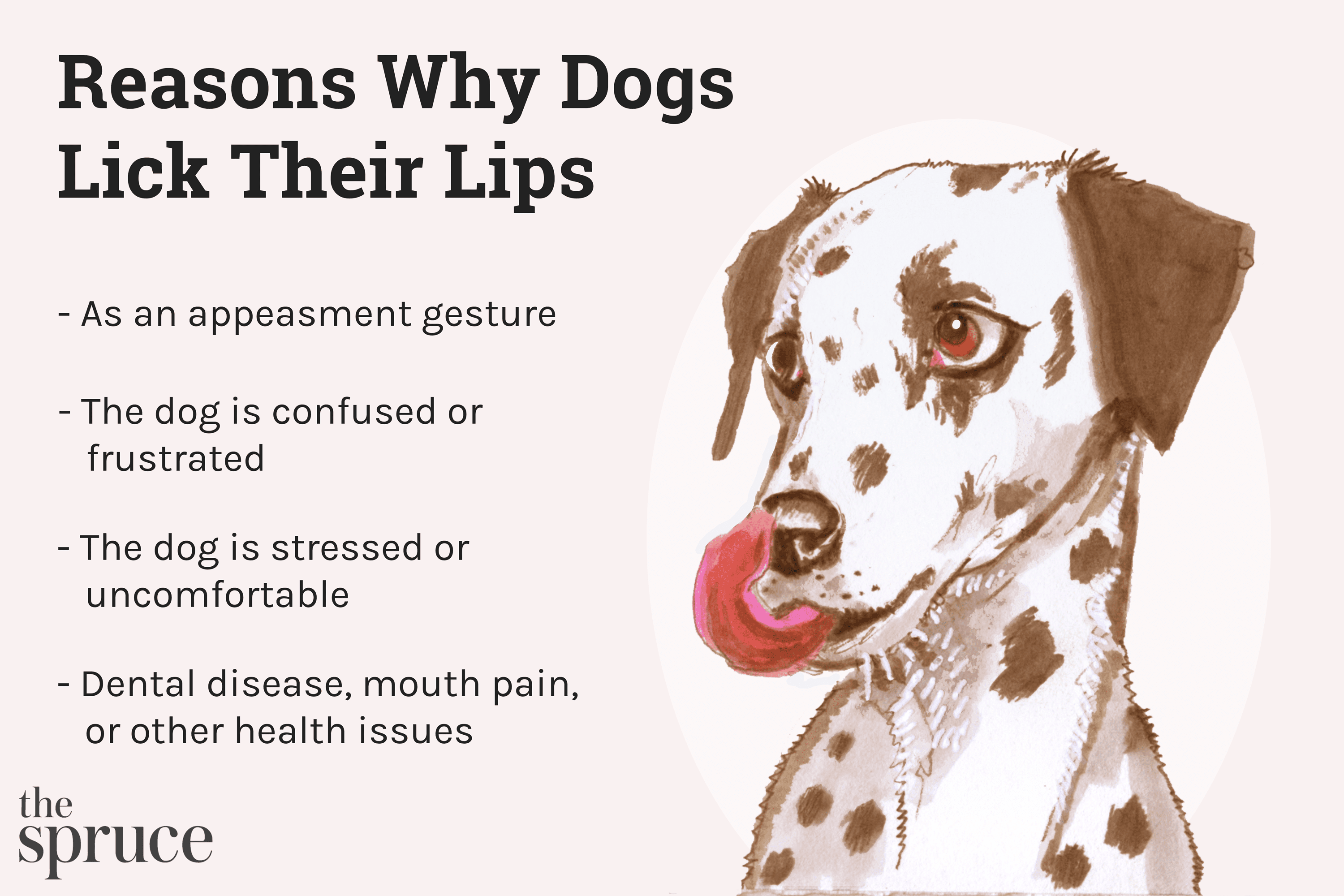 Lingua del corpo del cane:leccate le labbra