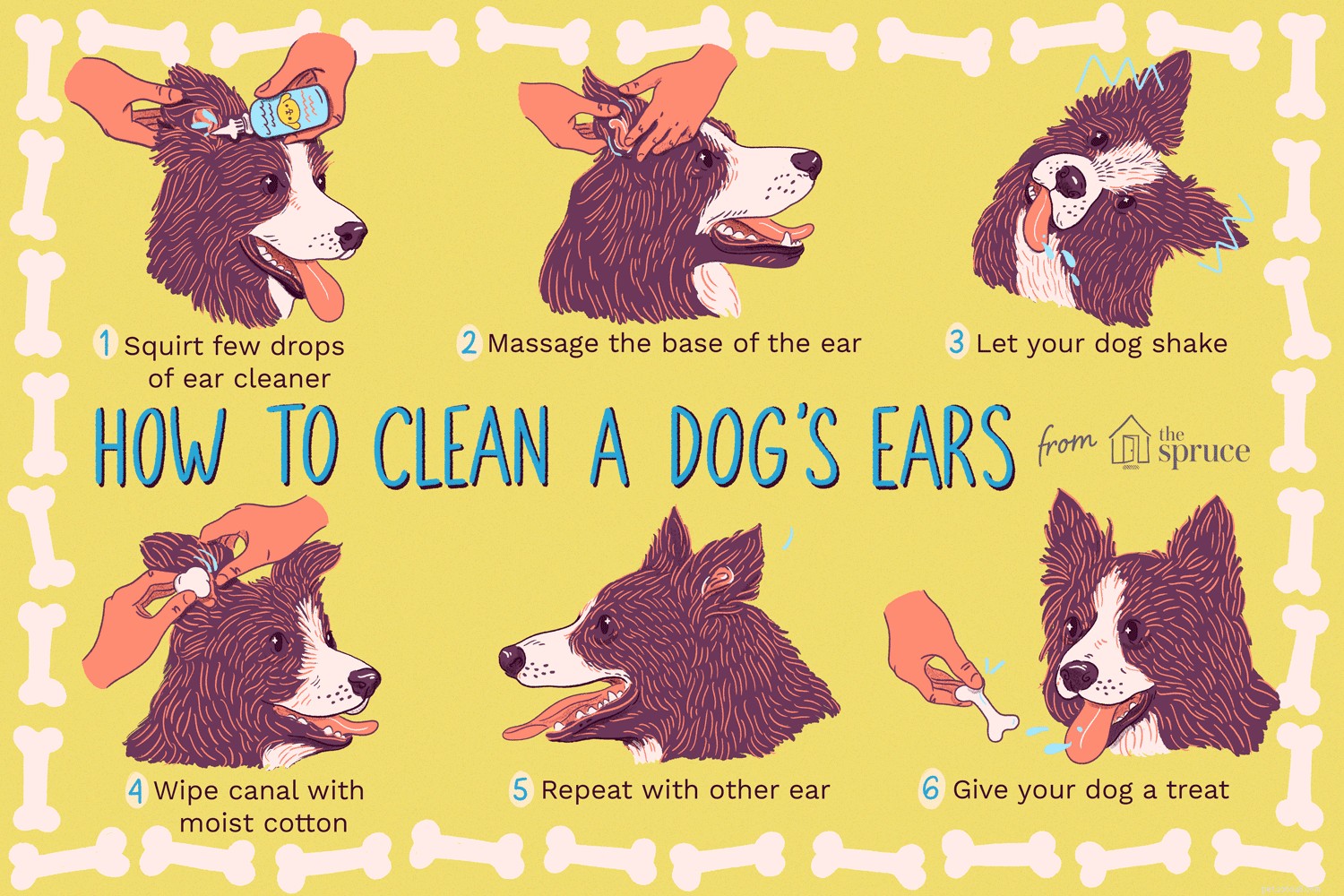 Hur du rengör hundens öron