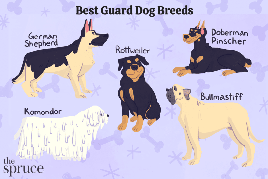 10 migliori razze di cani per la protezione