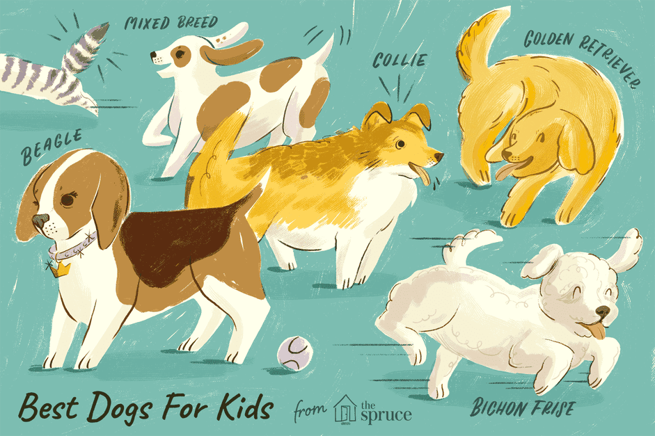 15 nejlepších psích plemen pro děti a rodiny