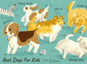 15 melhores raças de cães para crianças e famílias