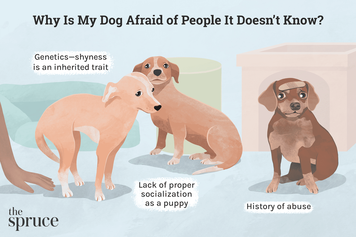 두려운 낯선 사람을 개가 극복할 수 있도록 도와주세요