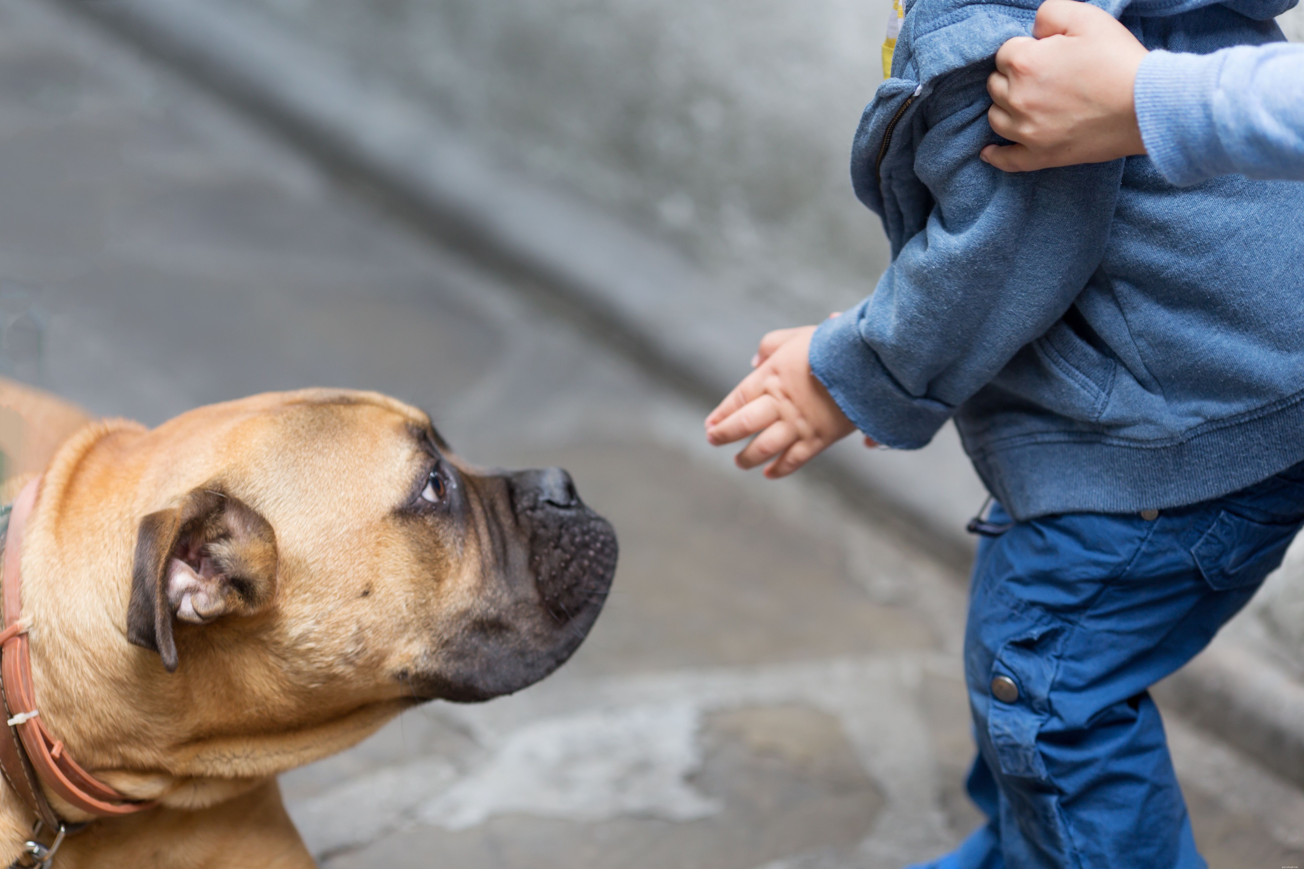 Как избавиться от страха собак перед детьми
