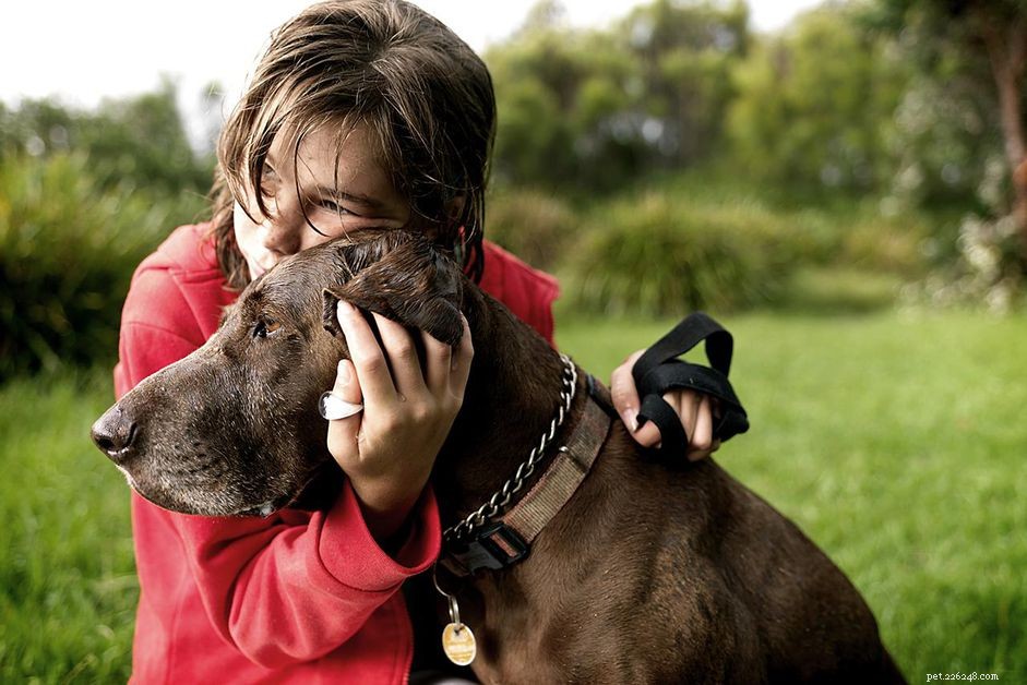 Záchvaty u psů:příznaky, příčiny a léčba