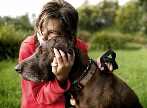 Convulsões em cães:sintomas, causas e tratamento