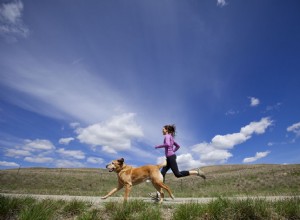 あなたの犬と一緒に運動するための素晴らしい方法 