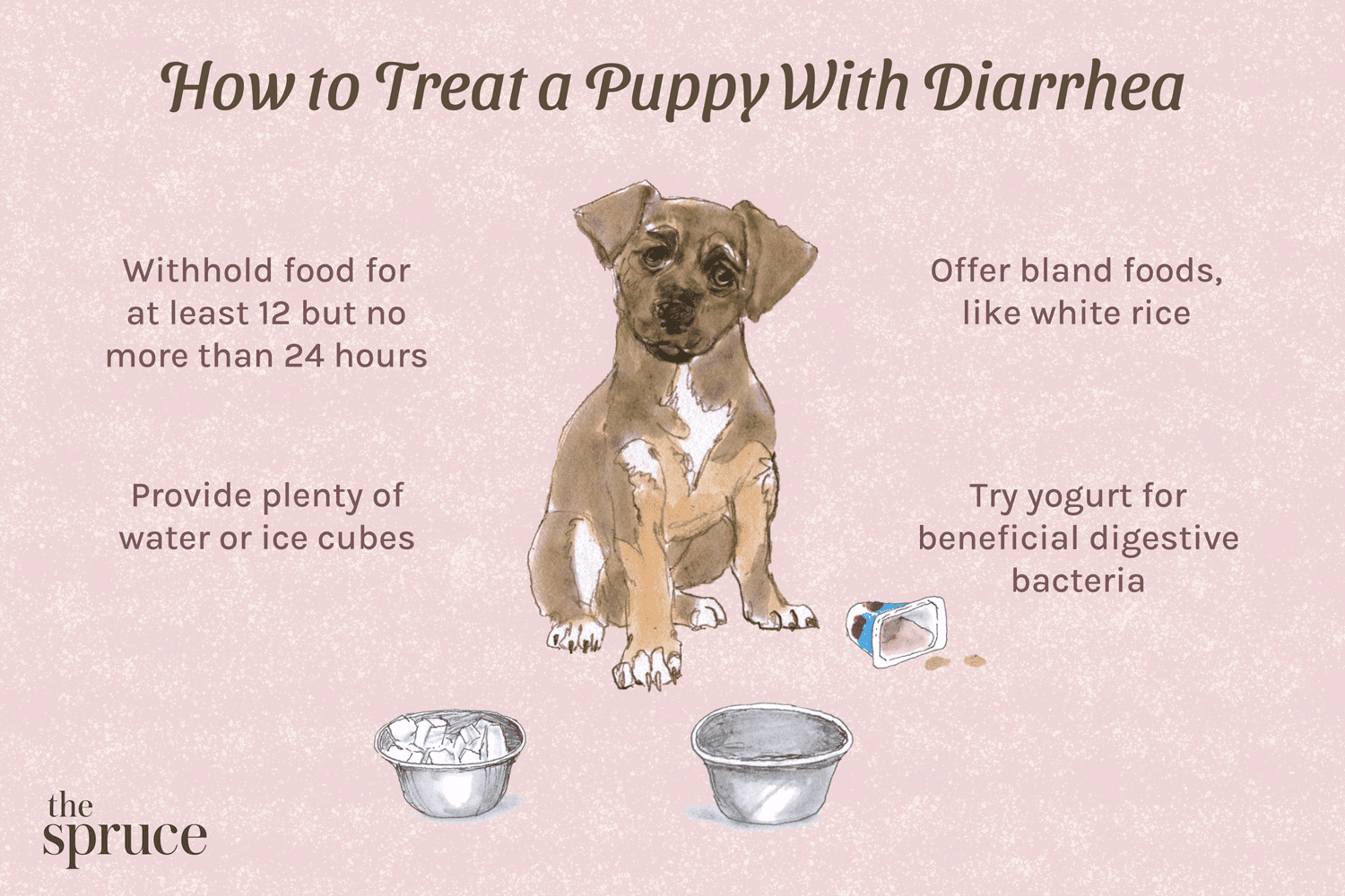 Diarréia em cachorros