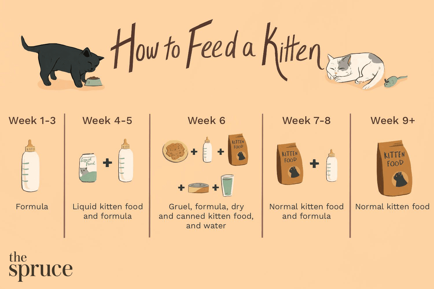 Matningsschema för kattungar:Hur mycket mat kattungar behöver