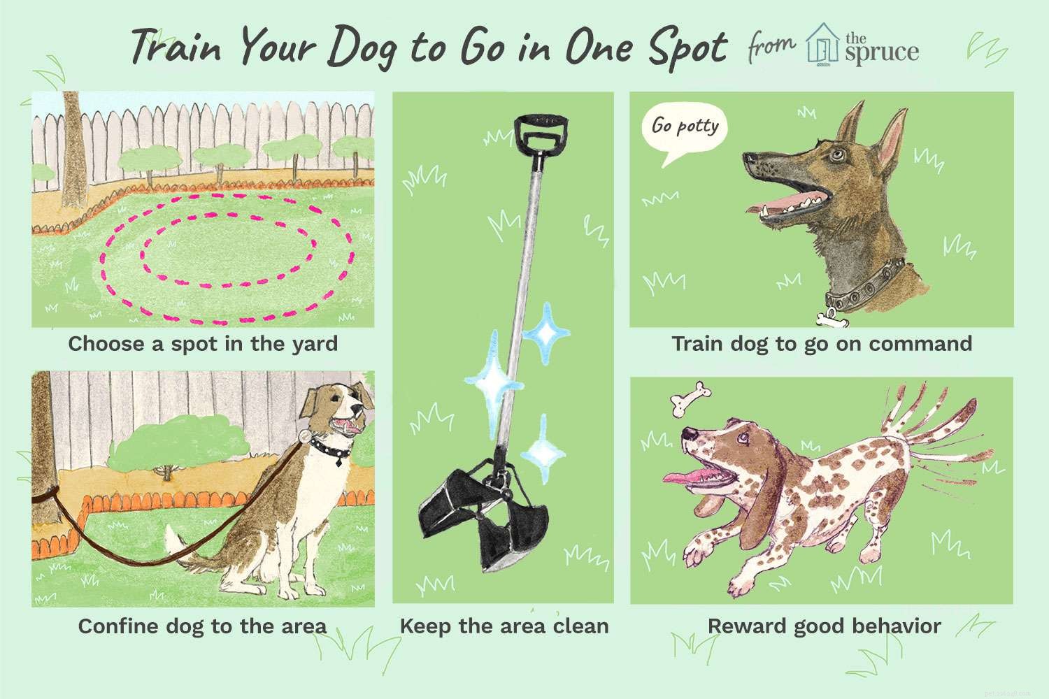Hoe u uw hond zindelijk kunt maken om op één plek te gaan