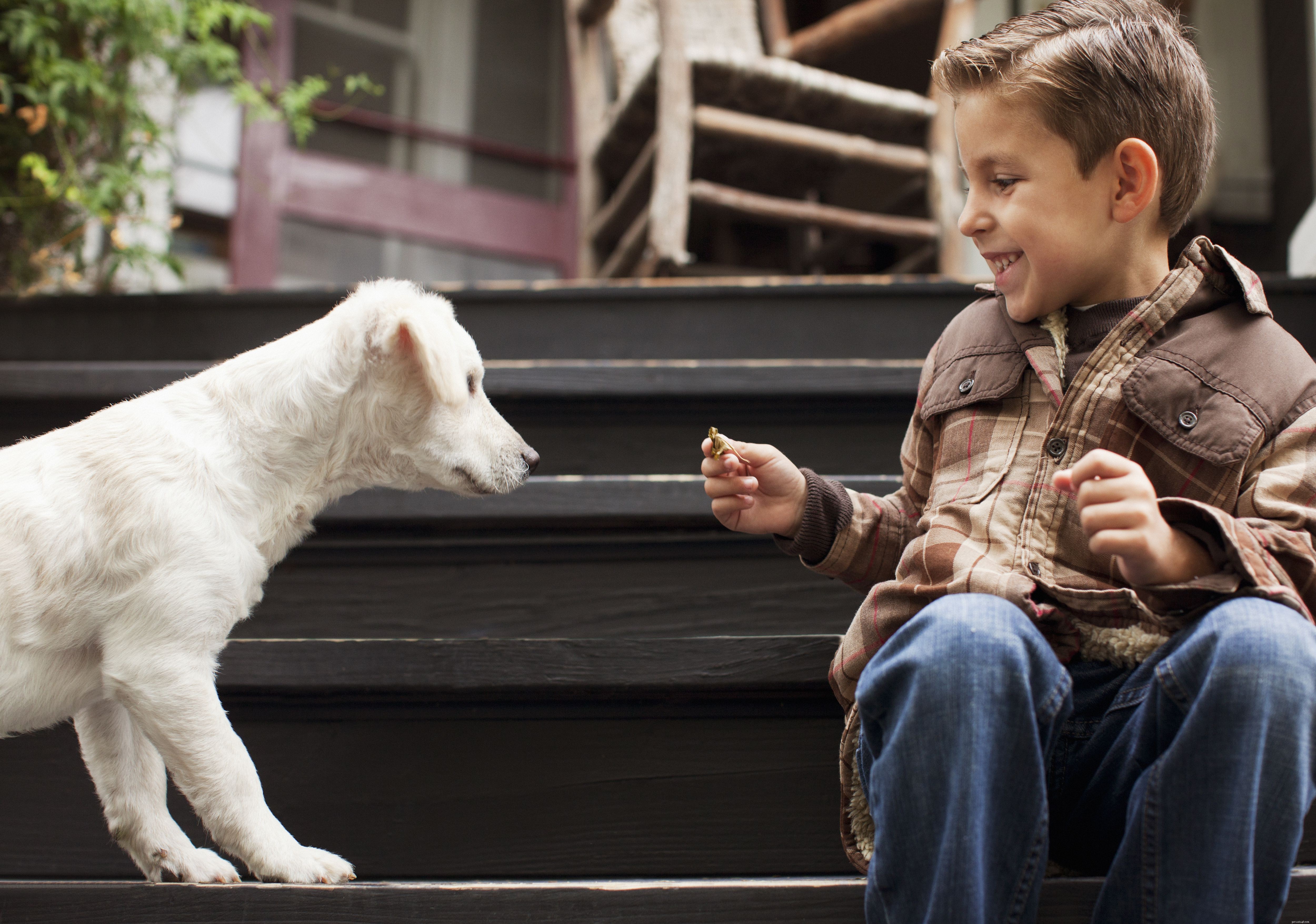10 principais dicas para deixar um cão à prova de crianças