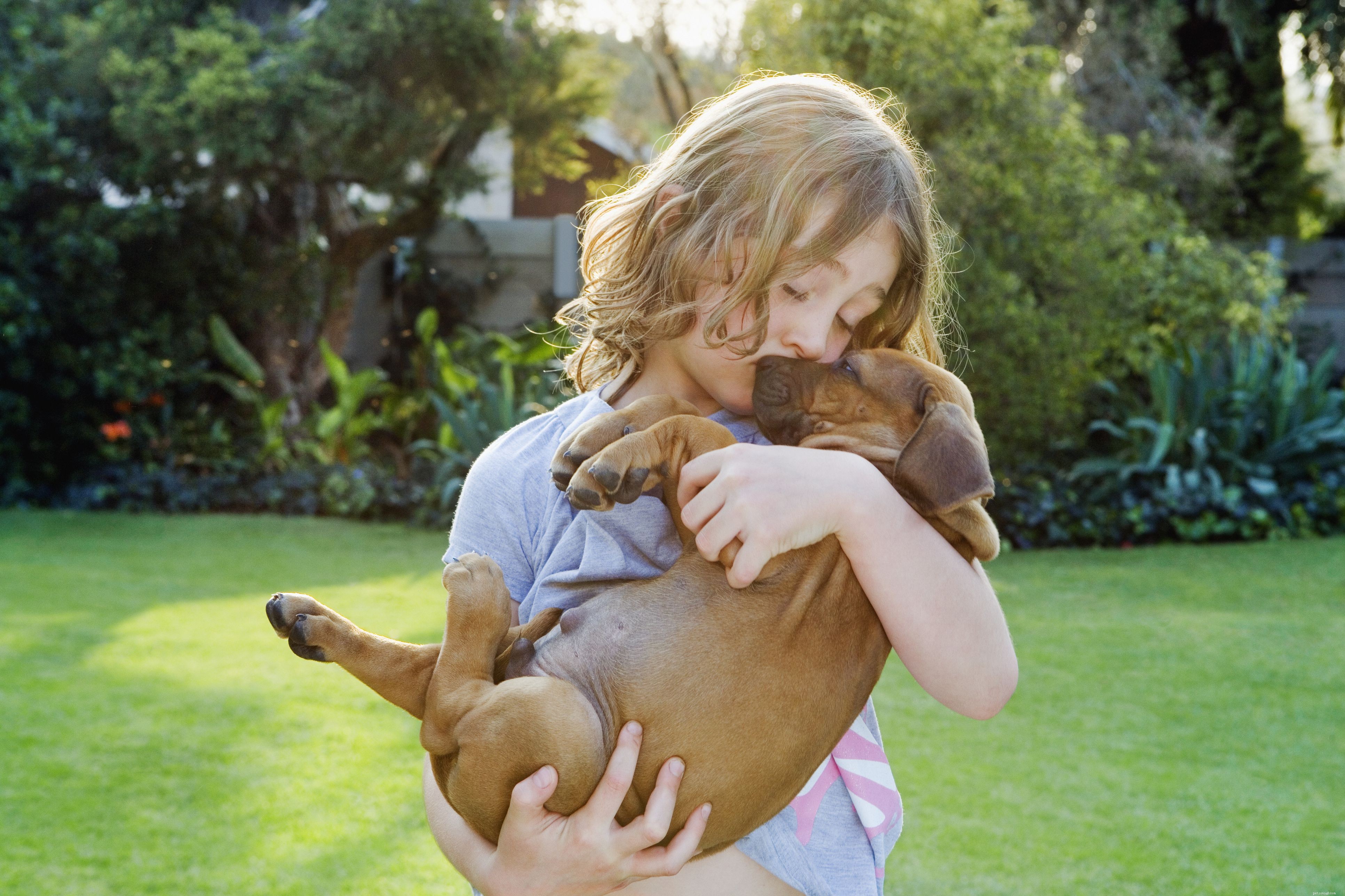 犬を子供から守るためのトップ10のヒント 