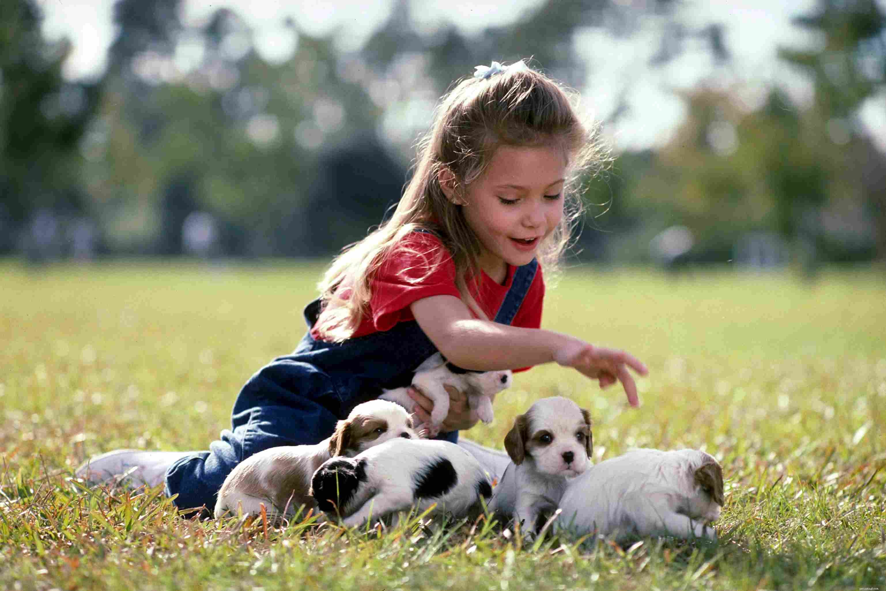 I 10 migliori consigli per proteggere un cane dai bambini