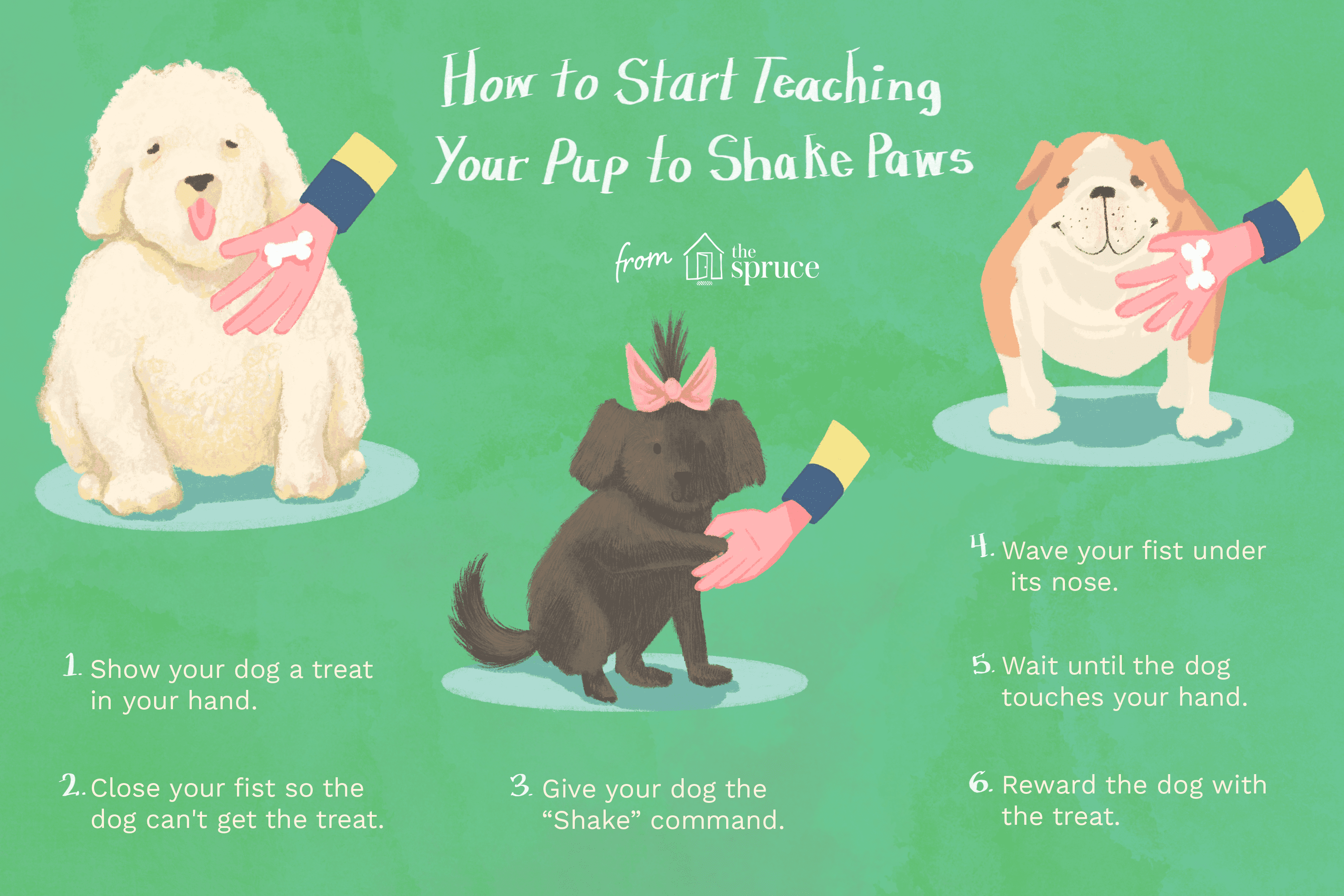 개가 앞발을 흔들도록 훈련시키는 방법