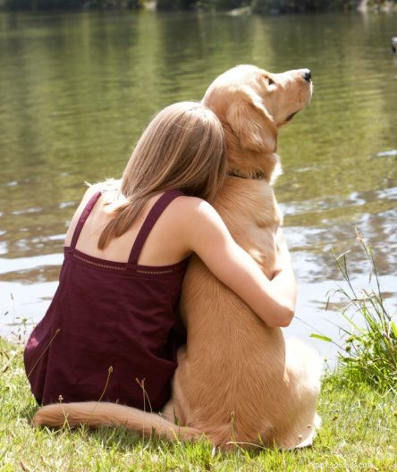 5 лучших способов использования положительного подкрепления для поощрения собаки