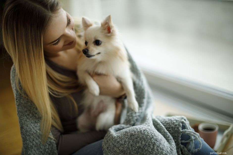 Come costruire una solida relazione con il tuo cucciolo