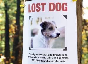失われた子犬を見つける方法 