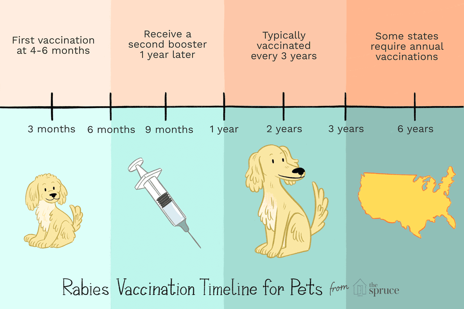 Heeft mijn huisdier elk jaar een injectie tegen hondsdolheid nodig?