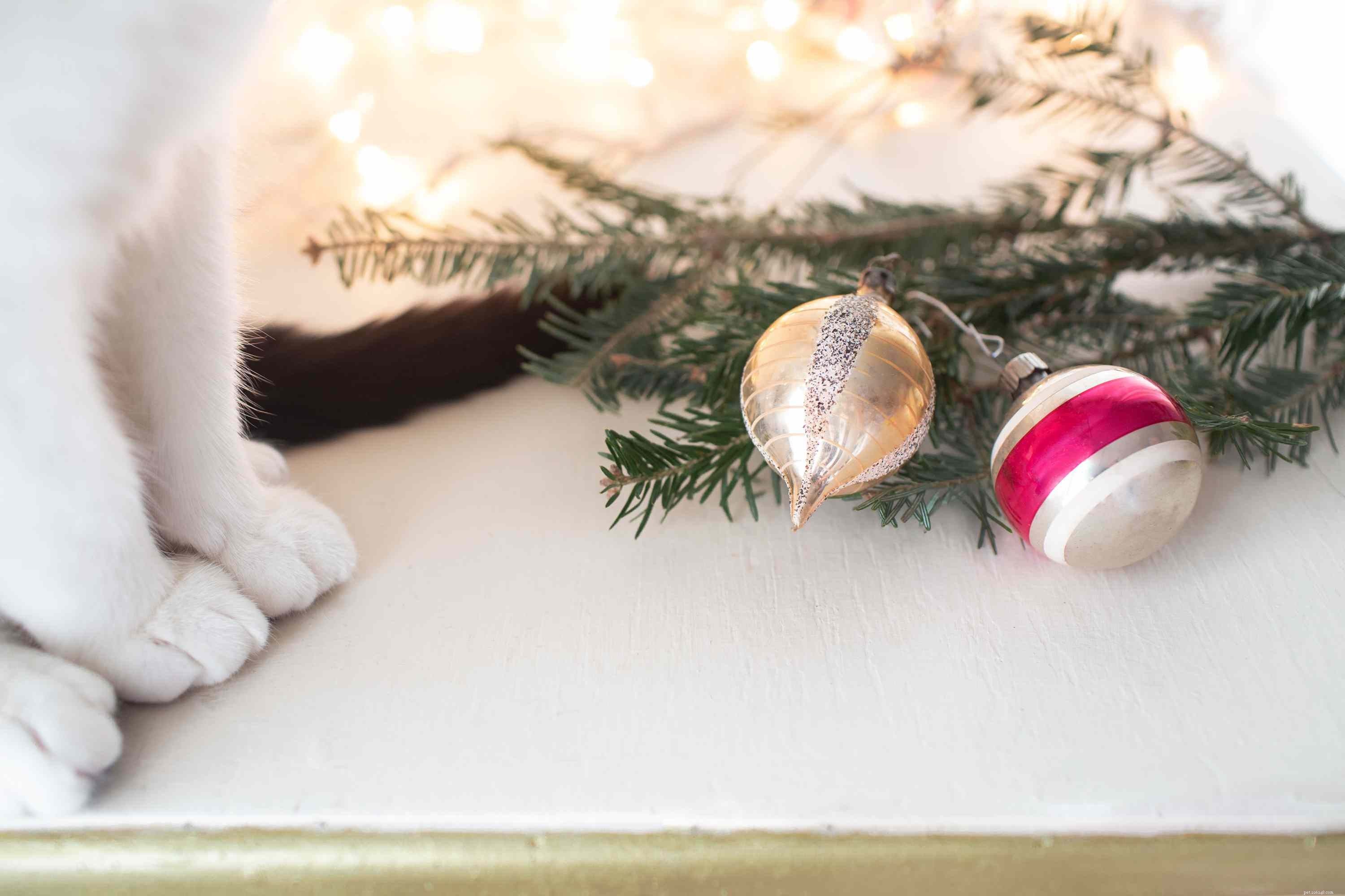 クリスマスツリーは猫や犬に有毒ですか？ 
