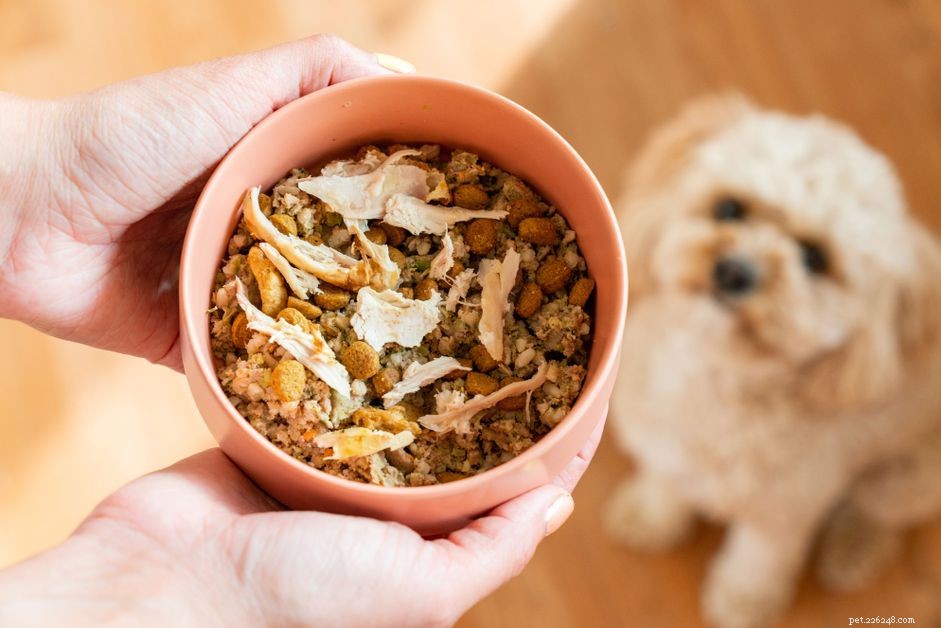 Quelles parties d une dinde puis-je nourrir mon chien ?