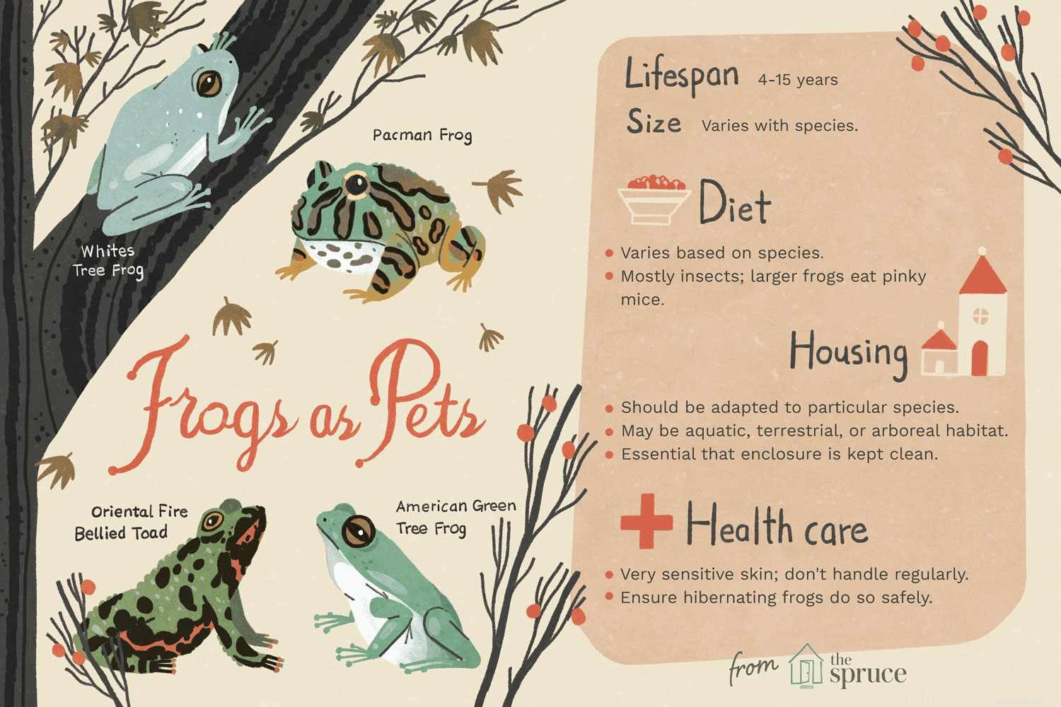Co potřebujete vědět o domácích žábách 