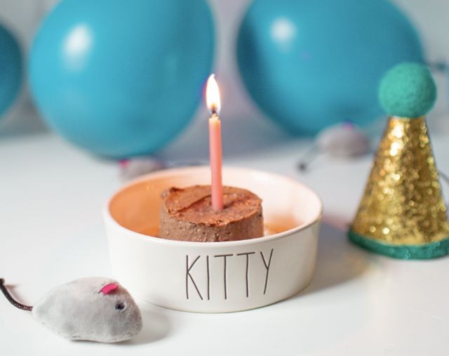 8 façons amusantes de célébrer l anniversaire de votre chat