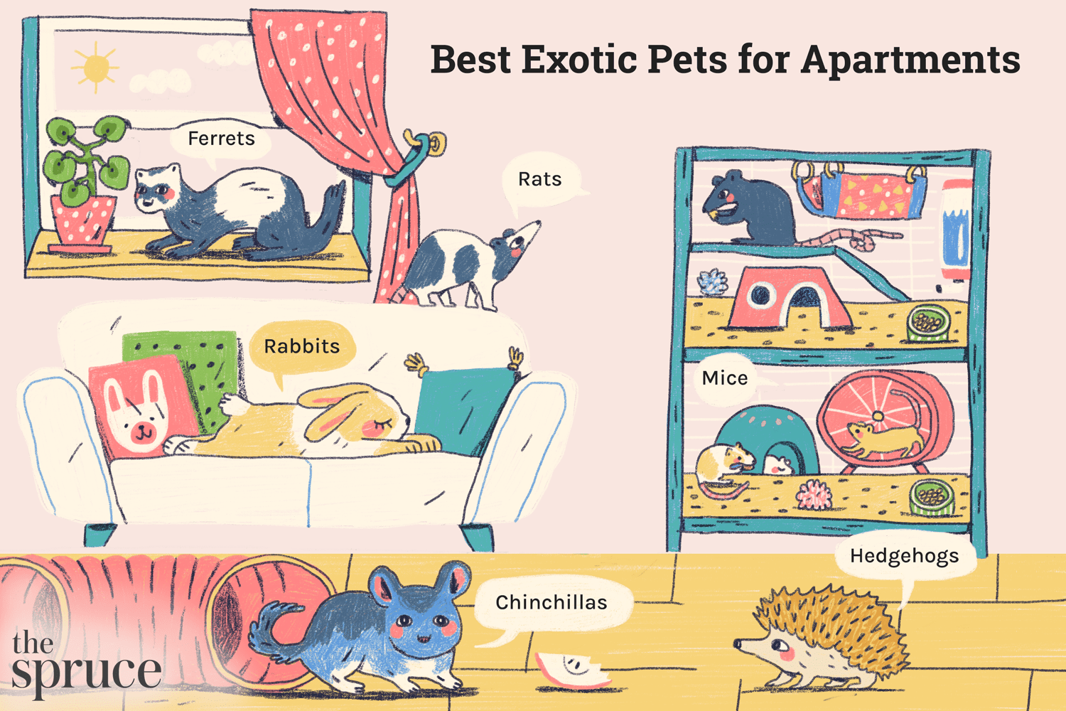아파트 생활을 위한 최고의 이국적인 애완동물 12가지