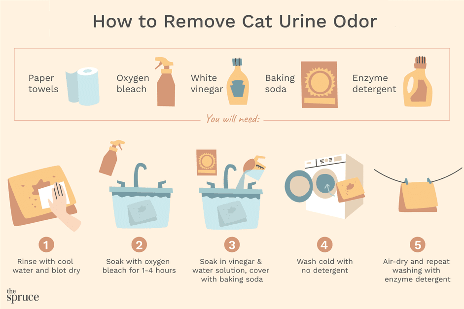 Como remover o odor de urina de gato de roupas e roupas de cama