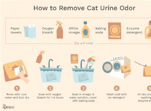 服や寝具から猫の尿臭を取り除く方法 