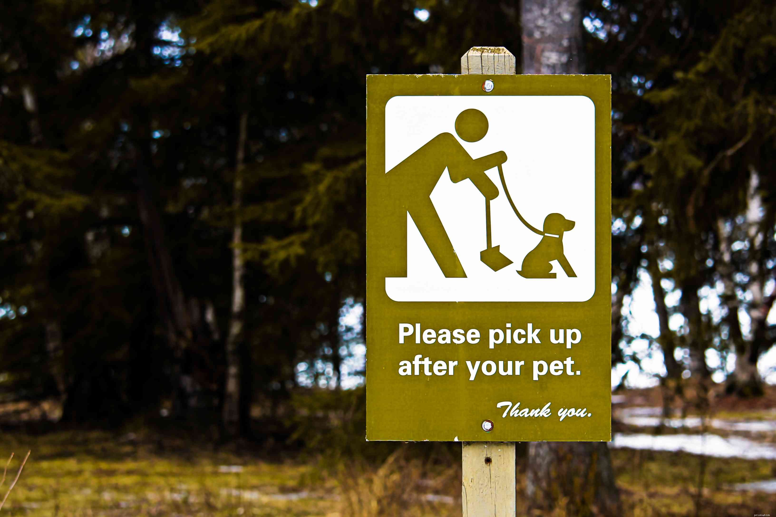 Hoe u uw hond gezond en veilig kunt houden in het hondenpark van uw stad