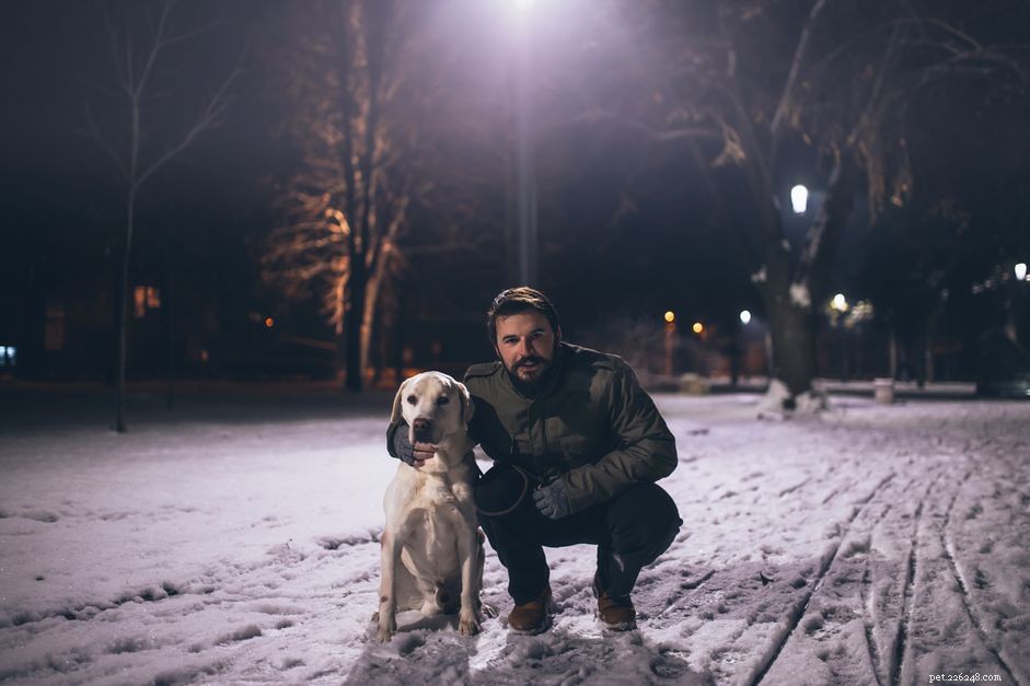 7 handige manieren om uw hond veilig te houden tijdens donkere winterwandelingen