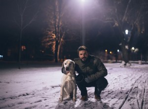 7 užitečných způsobů, jak udržet svého psa v bezpečí na procházkách v temné zimě