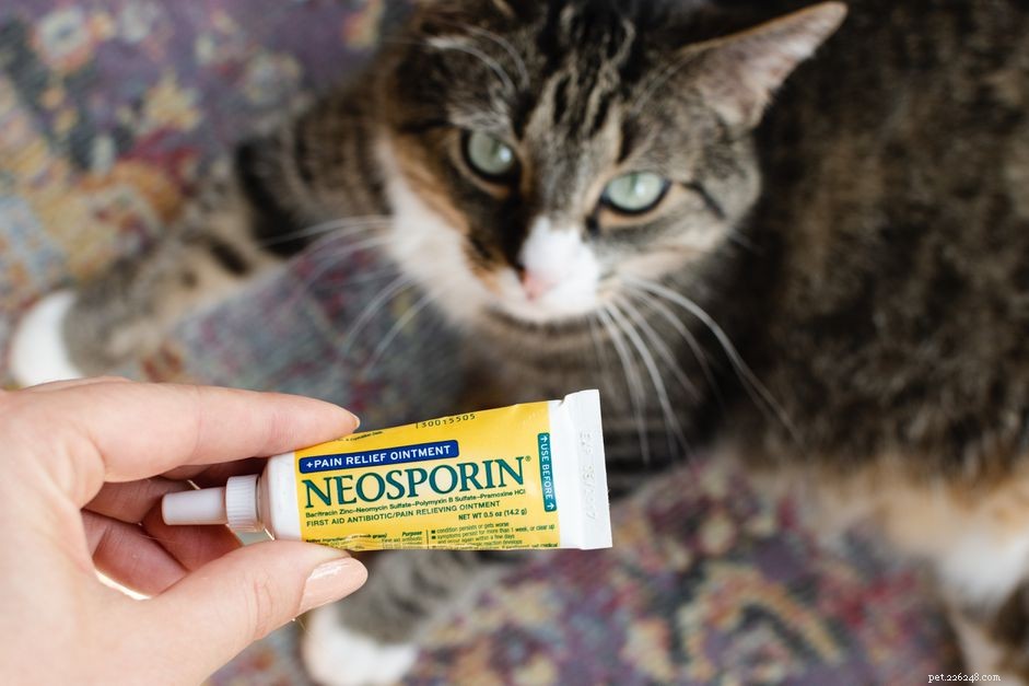 Is Neosporin veilig voor katten?