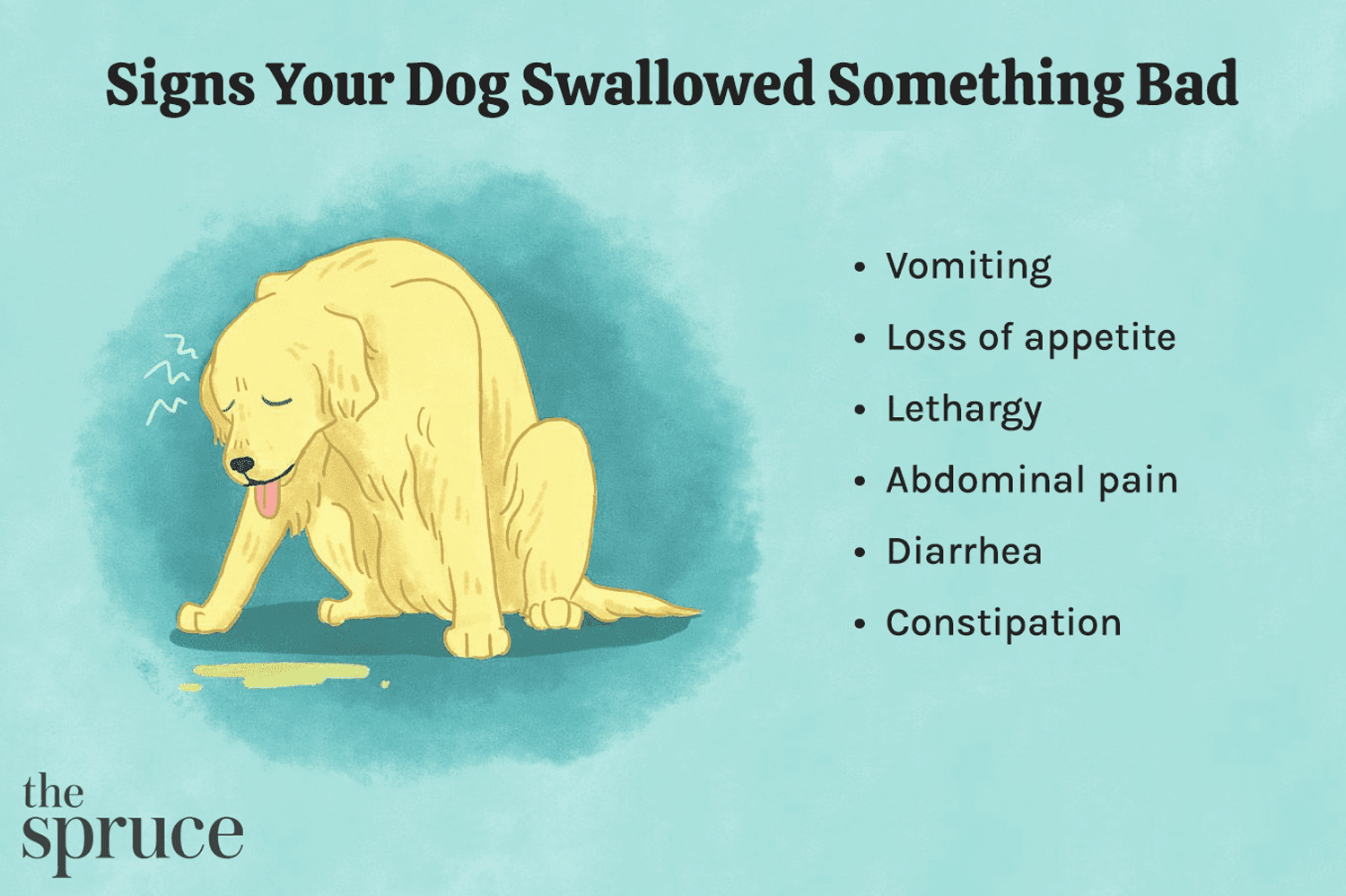 O que fazer quando seu cachorro engole um objeto estranho
