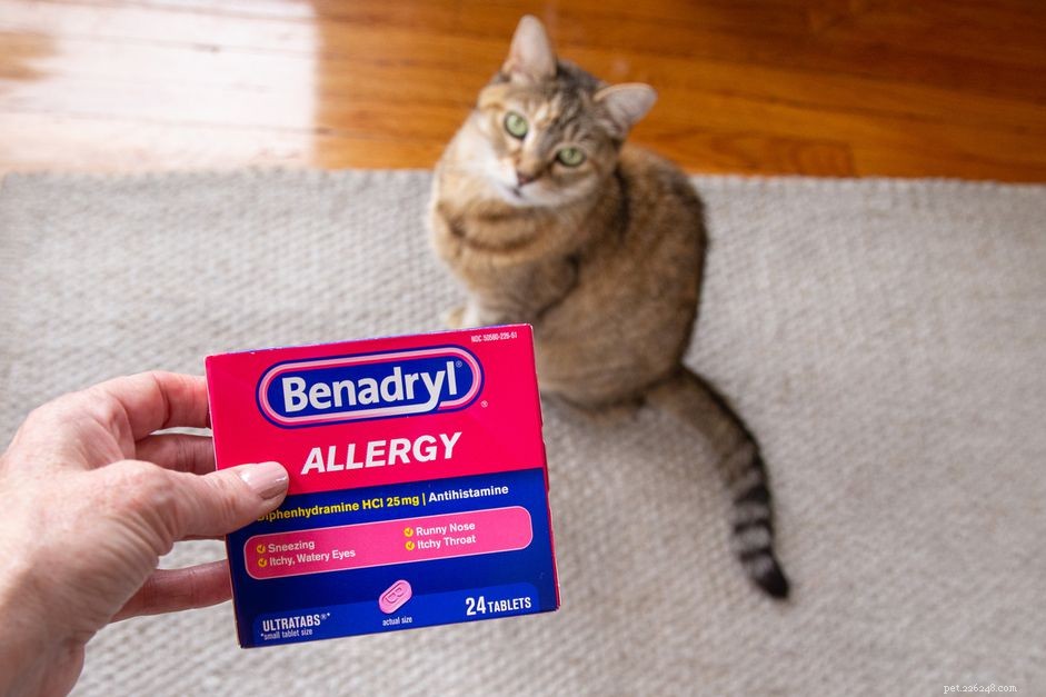 Benadryl para gatos