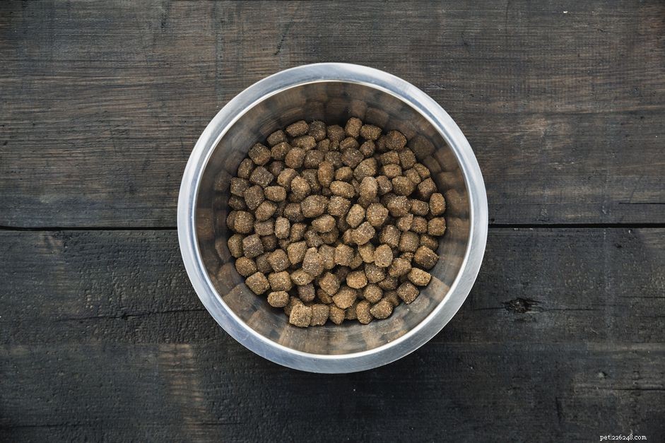 Končí platnost krmiva pro psy?