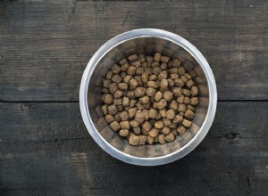 Končí platnost krmiva pro psy?