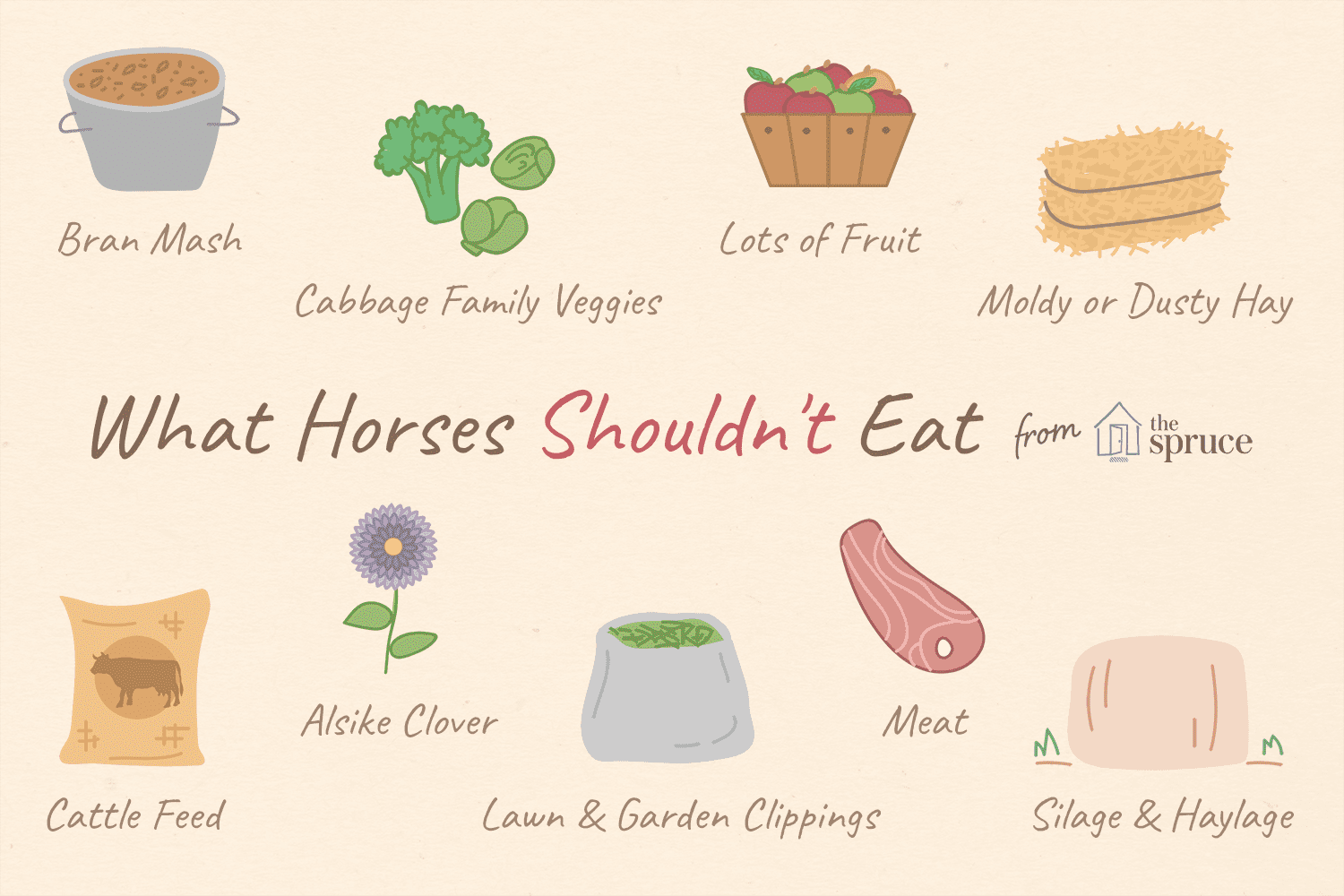 Cose che un cavallo non dovrebbe mangiare