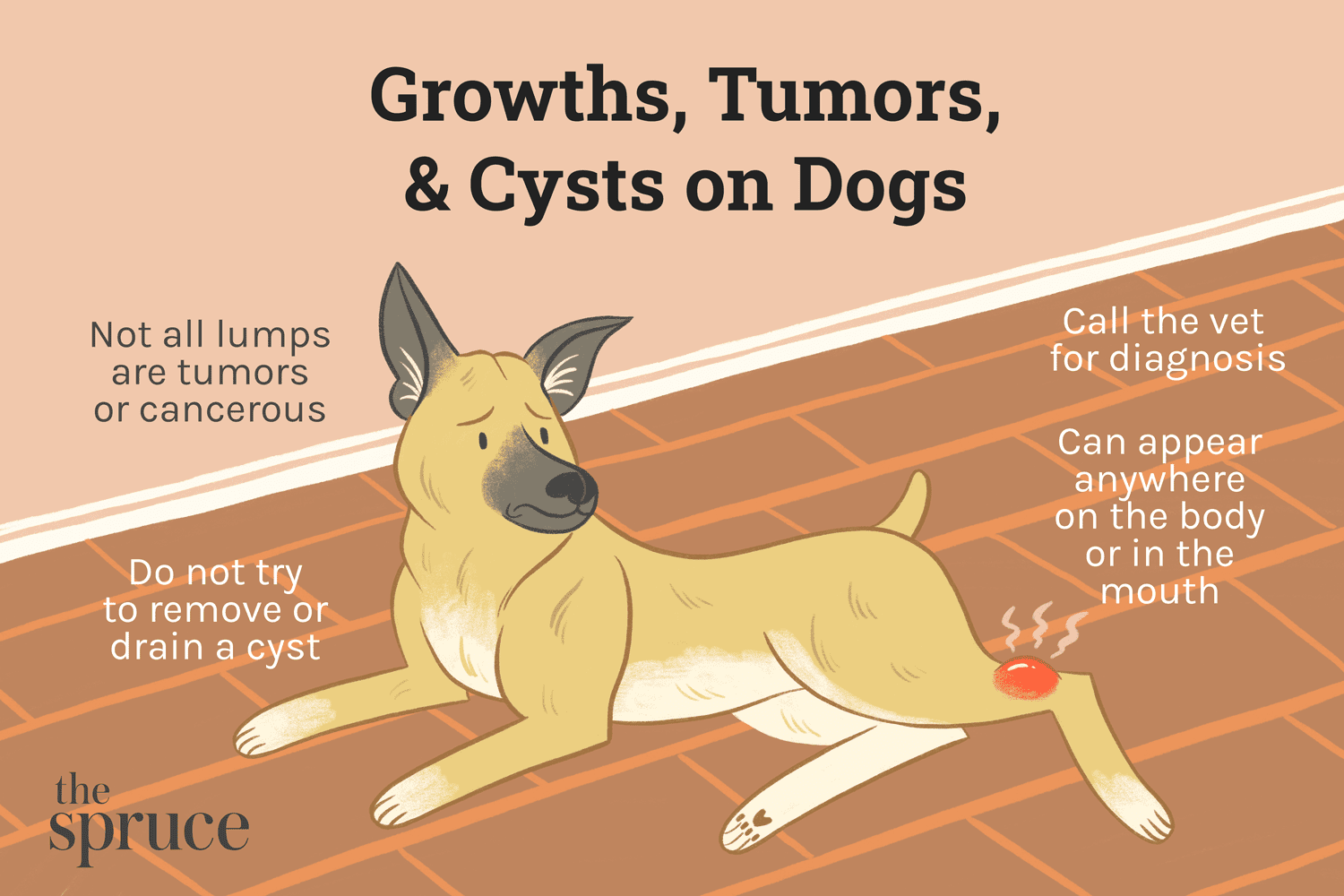 Tumeurs, excroissances et kystes chez les chiens