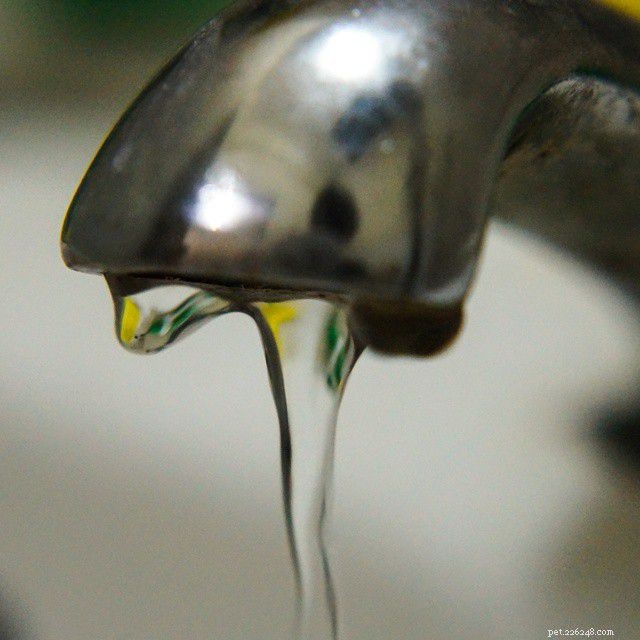 Come si rimuovono le clorammine dall acqua del rubinetto?